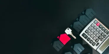 e-Devlet'e İki Yeni Özellik Eklendi