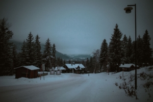 TV 2, Norveç'te Werewolves Formatını Yayınlayacak
