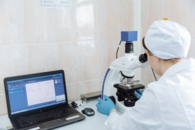 Gephyrin Proteini ve Beyin Hücrelerindeki Miyelin Oluşumu