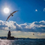 images-2026-10-20T073116.387